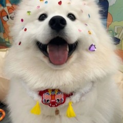 Seni Yanımda İstiyorum