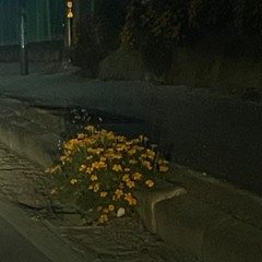 한탄(恨歎) (Prod. llouis)