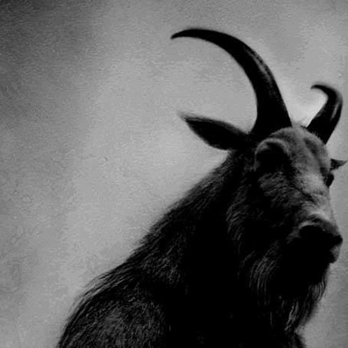 KIM PETRAS - THROAT GOAT 2.0 ft. ERIC BELLINGER