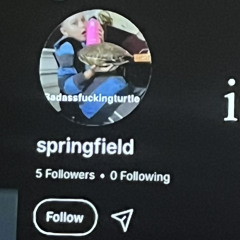 springfield4 radio mix vol 1 summer 2025