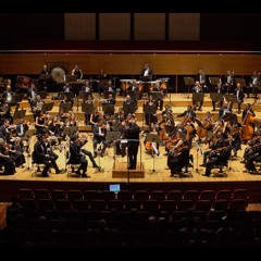 Aeternus / for orchestra