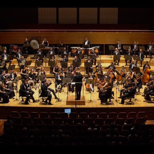 Aeternus / for orchestra