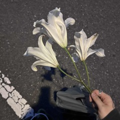 敷戸団地