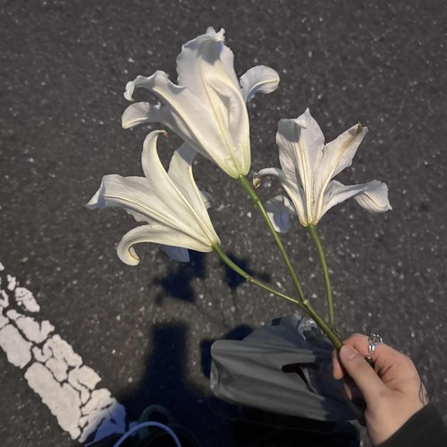 敷戸団地