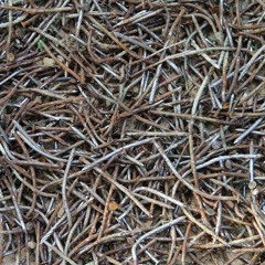 On This Careless Ground (rough)