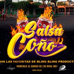 SALSA COÑO MIX SALSA BRAVA (BLING BLING PRODUCTIONS)  2 horas y media
