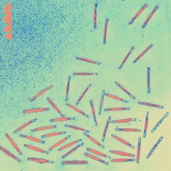 First At The Accident