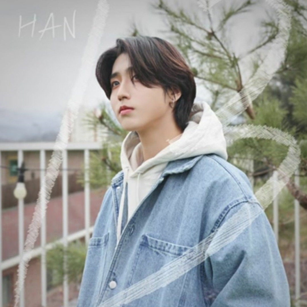 Stray Kids HAN まとめ売り artworks-KsgJKAdkVEXZgmz9-