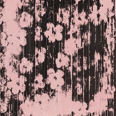 kalamz mıyz arkds?? @muratbayramerdogdu