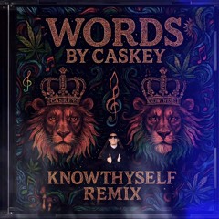 Caskey - WORDS (Remix by KnowThyself) (Meltrix Records)