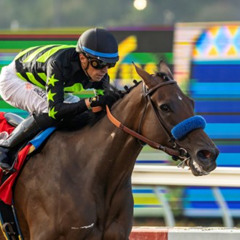 My Race Call Of The 2025 Clement Hirsch Stakes At Del Mar Racetrack