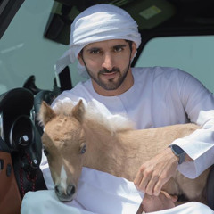 القضا بالقضا - عيضه