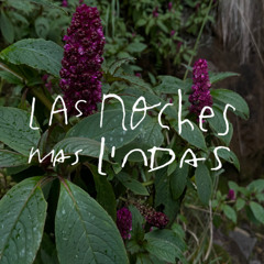 Las noches más lindas 007
