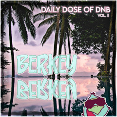 DAILY DOSE OF DNB VOL.2