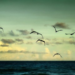 Peteris Vasks: Ainava ar putniem (Landscape with Birds)