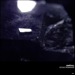Premiere: Qwëzall - Occult Form [Immaterial.Archives]