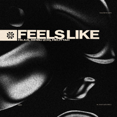 FEELS LIKE - MILIUS, RIMBU (CH), MELITTAH