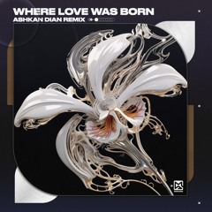 Where Love Was Born (Ashkan Dian Remix) [Modern Agenda]