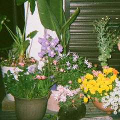 祝日/カネコアヤノ(cover)