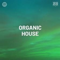 Organic House set December 2023