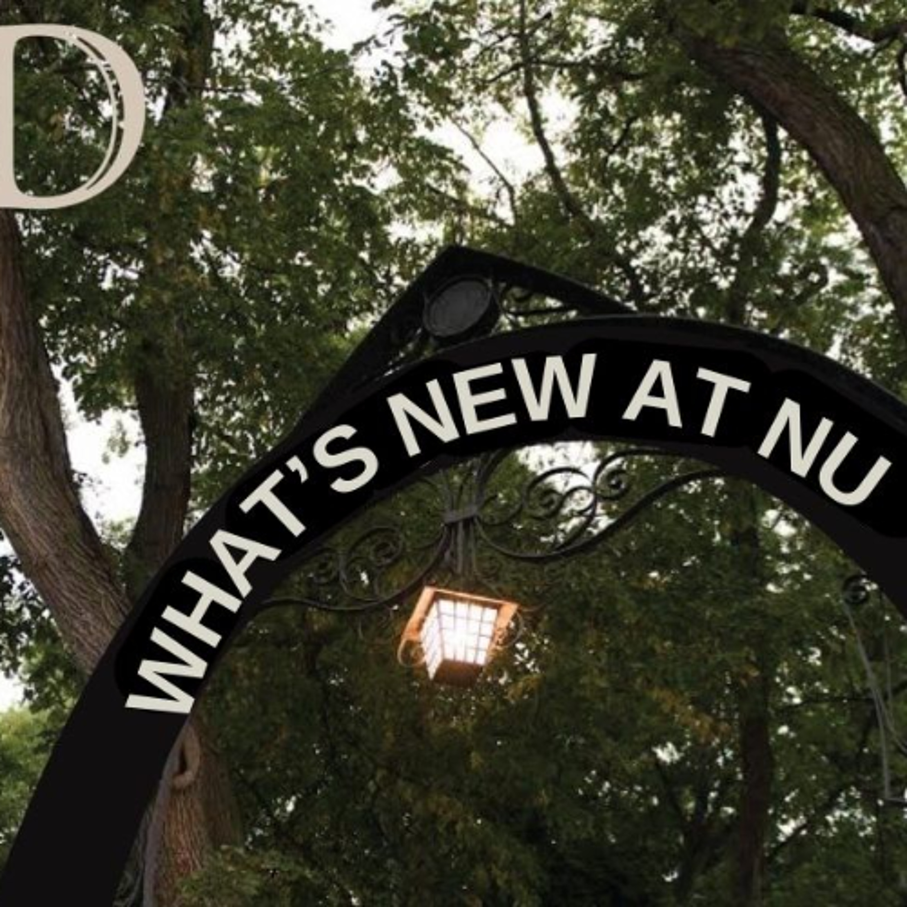 What’s New At NU: Old and new clubs attract new members at Winter Org Fair episode artwork