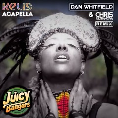 Kelis - Acapella (Dan Whitfield & Chris Ultranova Remix)