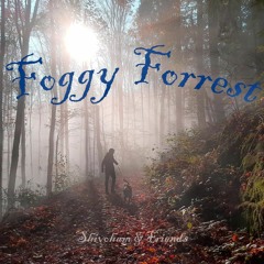 Foggy Forrest - Shivoham & Friends