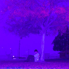 Blue Lights
