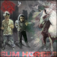 SUM HORSES FT. SA!KORO PROD GHOWZ