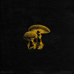 Viva La Vida (DJ Middsnärt REMIX)