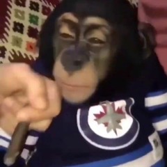 Limo Ft. Idle / SOLD