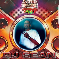 FLAVOR REMIXES - DJ SEAN STYLEE