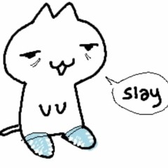 grippy cat socks song