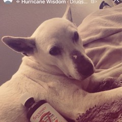 bad bitch prod backxster