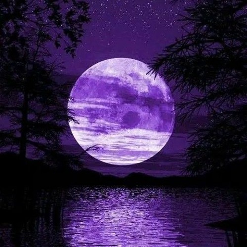 DARK TECHNO ◉ I Like To Move It (Marga Remix) Madagascar