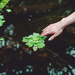 Bow to the Man-Instrumental & Backing Vocals