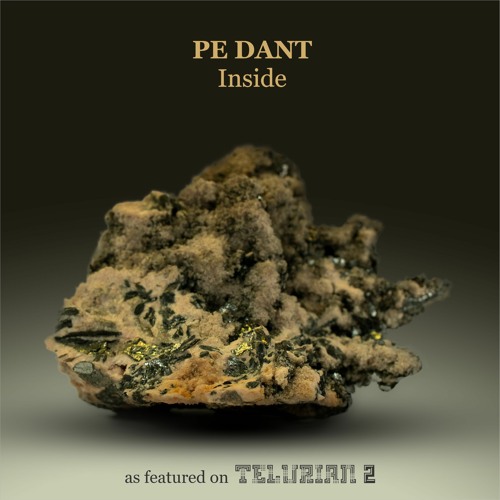 Pe Dant - Inside (snippet)