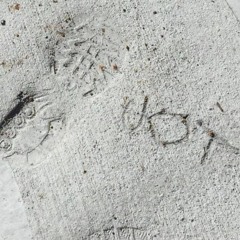 SEHT IN STOHNE