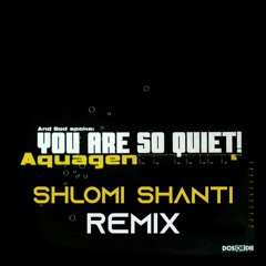 Aquagen - Why Are You So Quiet (Shlomi Shanti Remix)