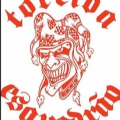 Esquadrão Vilanovense - Torcida Nova É O Caralho(musica Relíquia)