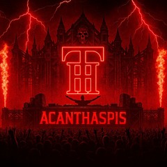Heavy Techno Mix | Acanthaspis