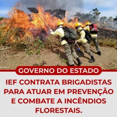 GOVERNO DE MG: IEF contrata brigadistas para atuar em prevenção e combate a incêndios florestais.