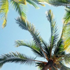 Sean Rii feat. Jenieo & ozlam - Dou Bongi