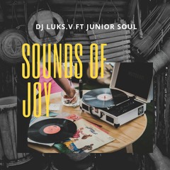 Sounds of Joy (feat. JUNIOR-SOUL)