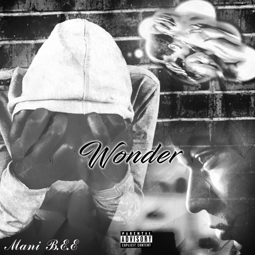 Wonder- Mani B.E.E