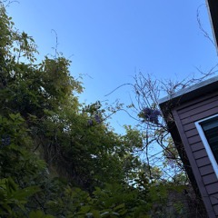 Indiana Pacers 2026-27 NBA Champions