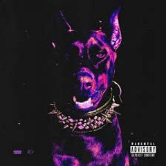 Голодный пёс (Mirniy Tik Tok remix)