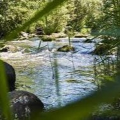 Trostgewühl am Auenufer (M+T:KR 1983/2010)