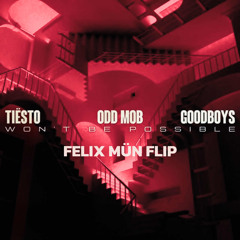 Tiësto, Odd Mob, & Goodboys - Won’t be Possible (FELIX MÜN Flip)