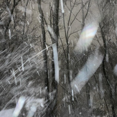 I'm Sorry, I tried (prod. slxwly)